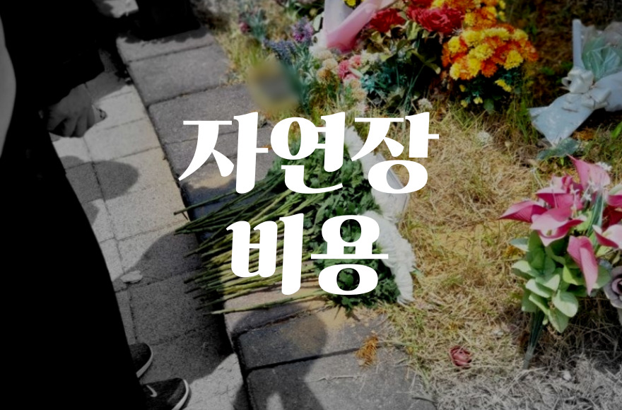 자연장 비용 완벽정리! 유형별 가격과 절차 한눈에 보기