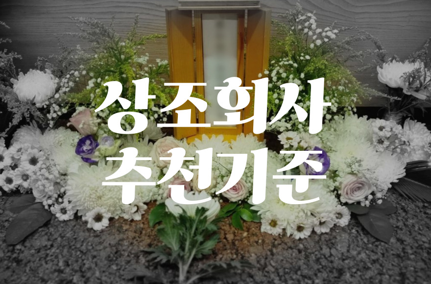상조회사 추천 기준과 비용 절약 꿀팁 한눈에 보기