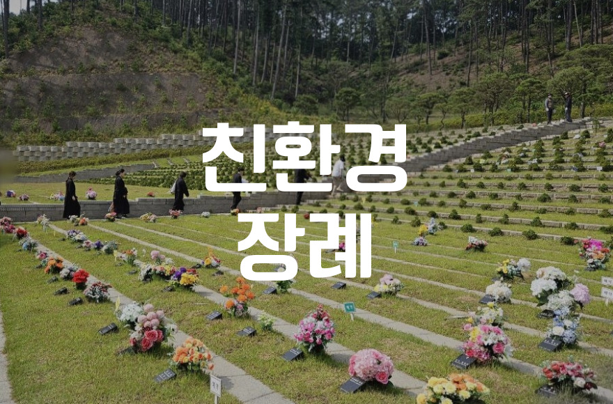 자연 장지 친환경 장례의 모든 것 절차부터 비용까지