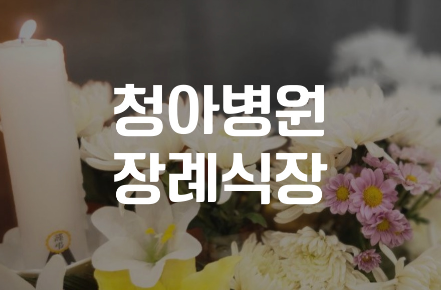 청아병원장례식장 비용 음식 주차 완벽 가이드 한눈에 정리