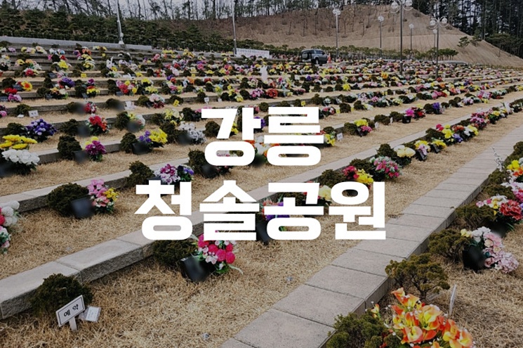 강릉청솔공원에서 고인을 모시는 절차와 준비사항