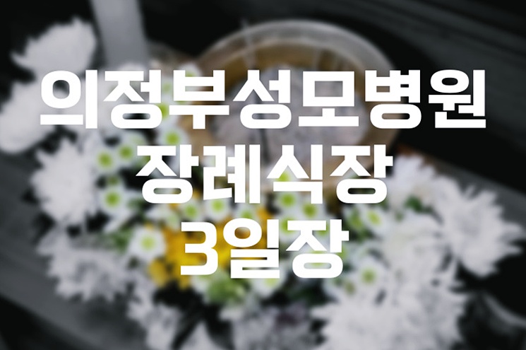 의정부성모병원장례식장 3일장 가족이 꼭 알아야 할 장례비 항목별 분석