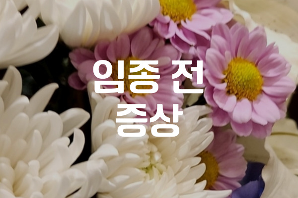 임종 전 증상 가족이 꼭 알아야 할 변화와 대처법