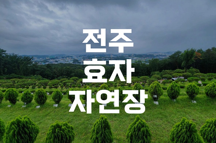 전주효자자연장 후기, 자연 친화적 장사시설의 모든 것