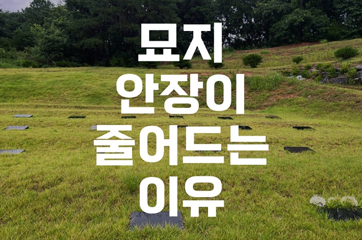 요즘 묘지 안장이 줄어드는 진짜 이유 5가지