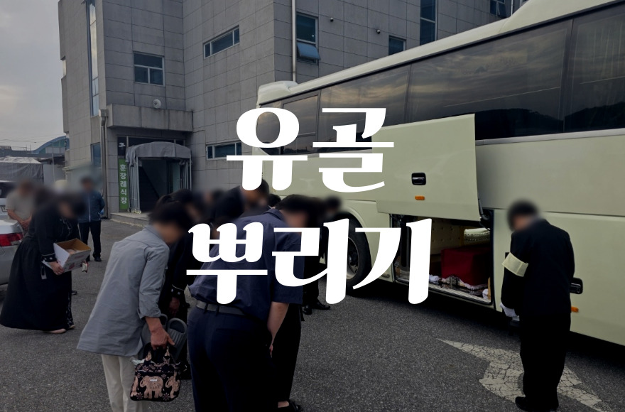 유골뿌리기 합법적으로 하는 방법과 주의사항 총정리