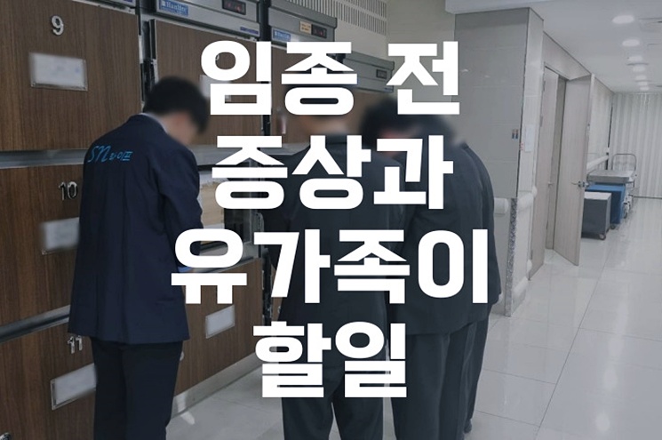 임종 전 증상과 유가족이 할일, 사전 준비부터 사후 지원까지 한눈에