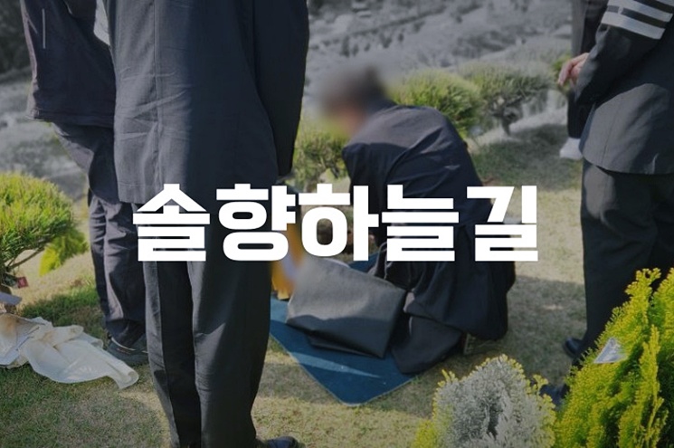 솔향하늘길 화장 절차와 비용까지 정리했습니다