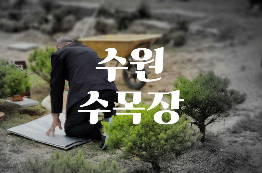 수원수목장 비교와 선택, 꼭 알아야 할 기준 총정리