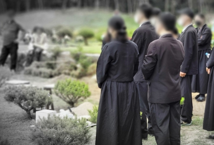 친환경 자연장 '수목장'의 후회 없는 선택 기준