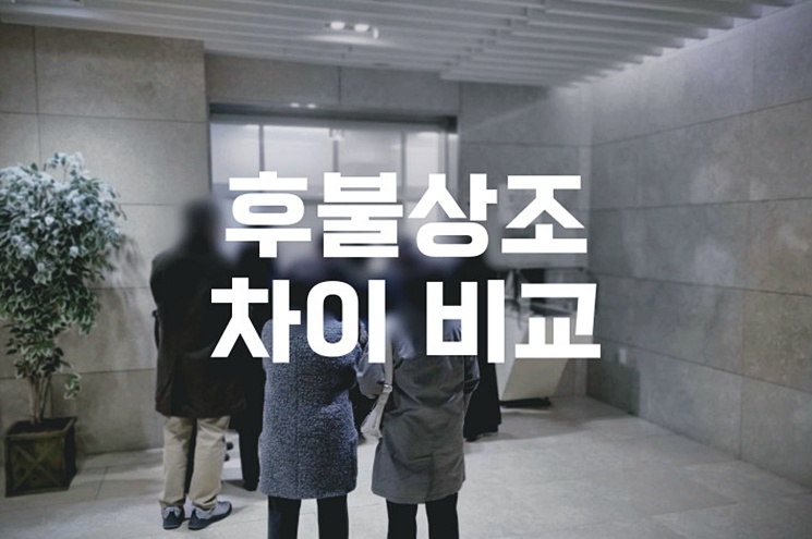 후불상조 차이 비교 비용과 서비스 선택 전 확인해야 할 5가지