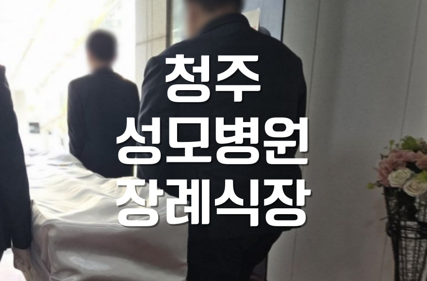 청주성모병원장례식장 가족납골묘 어디서, 어떻게 선택할까