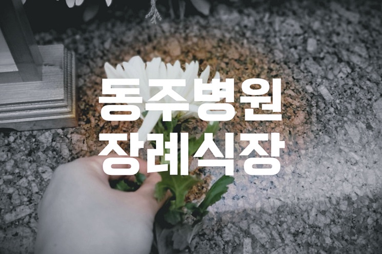 동주병원장례식장 장례 2일차, 무엇을 준비하고 어떻게 진행되나요.