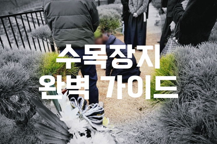수목장지 완벽 가이드 친환경 안치 방식과 평균 비용 총정리