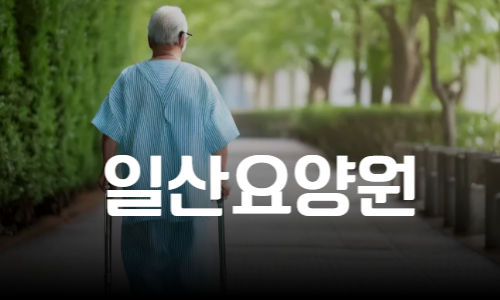 일산요양원 vs 요양병원, 엄마를 위한 최선의 결정