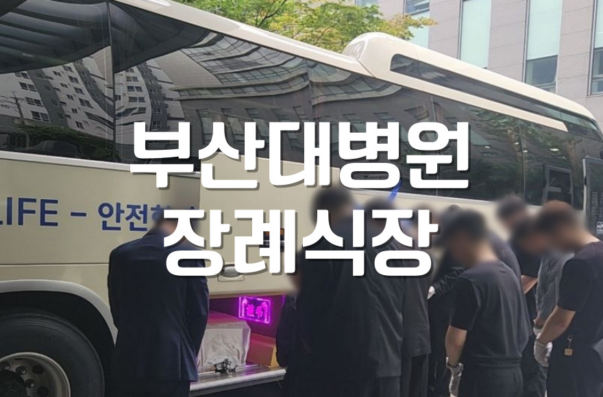 부산대병원장례식장 발인날, 유족이 가장 궁금해하는 모든 것