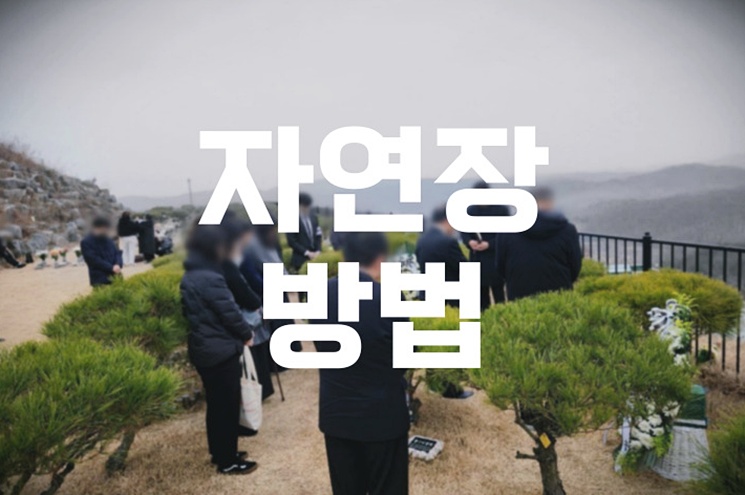 자연장 방법 절차부터 종류와 준비까지