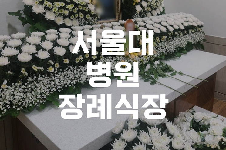 서울대병원장례식장 절차부터 준비물까지 한눈에