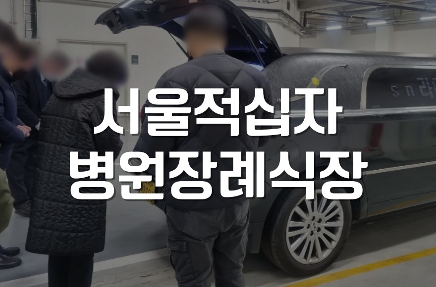 서울적십자병원장례식장 위치, 주차, 시설 완벽 가이드