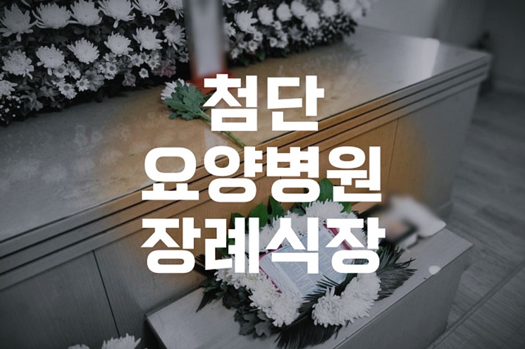 첨단요양병원장례식장 수목장 선택부터 비용까지 상주님 의견 반영