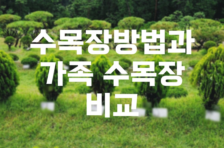 수목장방법과 가족 수목장 비교, 꼭 알아야 할 핵심 포인트