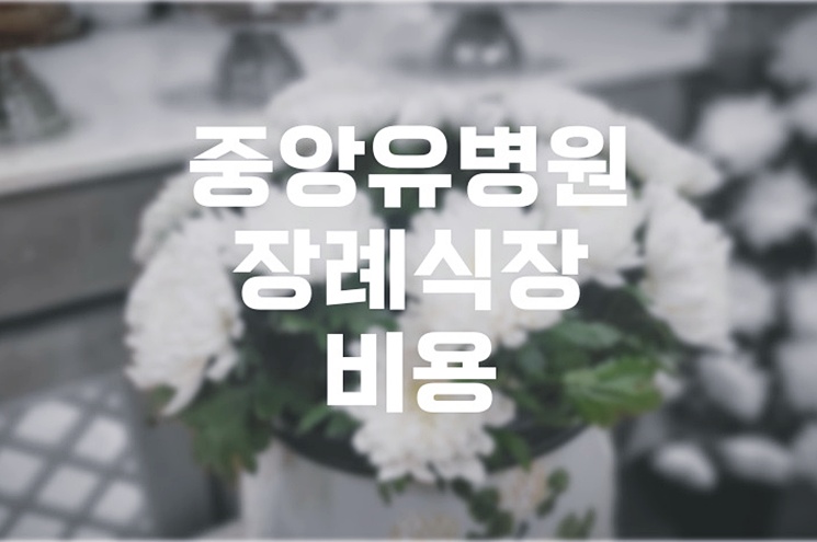 중앙유병원장례식장 음식·주차·비용 말없이 지나간 하루 끝에서