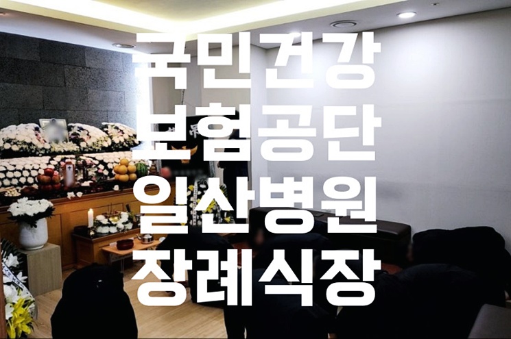 국민건강보험공단 일산병원 장례식장에서 서울시립승화원까지: 거리, 소요 시간, 실전 팁 총정리