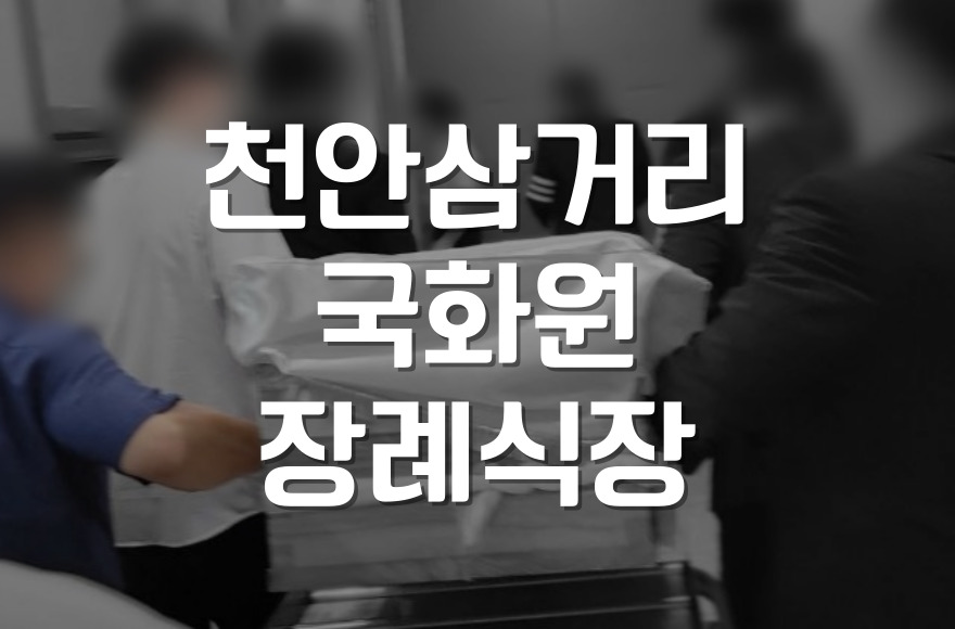천안삼거리국화원장례식장 가족장 준비, 절차부터 비용까지 한눈에