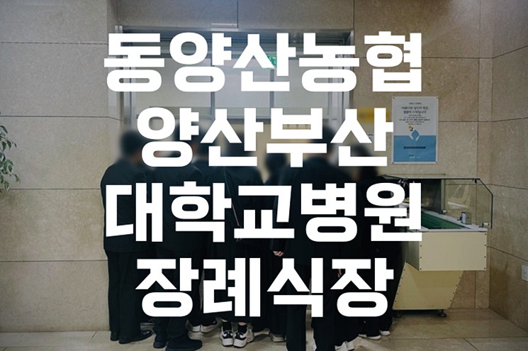 장례 준비 꿀팁! 동양산농협양산부산대학교병원장례식장 비용·음식·주차 총정리