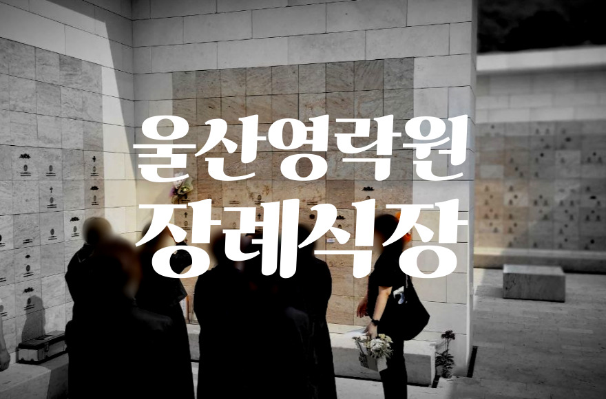 울산영락원 장례식장, 음식과 주차까지 꼼꼼히 따져본 비용 비교