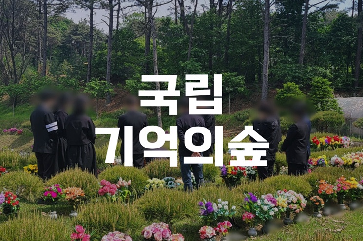 국립기억의숲 이용안내 및 추모목 신청방법 총정리