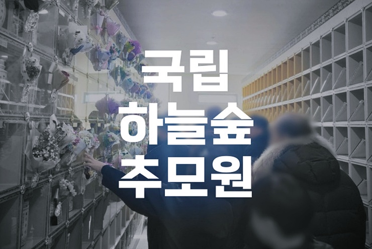 국립하늘숲추모원 신청 방법과 수목장 가격 비교 완벽 가이드